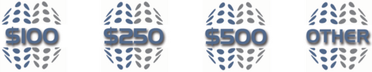 Donation BMMRO/BMSF Icons